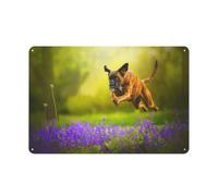 Bulldog running jumping, Metal Tin Sign Wall Decor Art Mural Hanging Iron Painting for Home Garden Bar Pub Kitchen Living 30x40cm(12x16 Zoll)