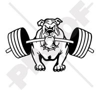 Bulldog Weightlifting Dog 7,9"(200mm) Vinyl Bumper Sticker, Decal - Choice of 22 Colours