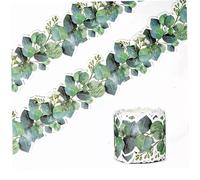 Bulletin Board Border 49ft Die Cut Green Eucalyptus Decorative Trim for Classroom Chalkboard School Office Wall or Home Bulletin Board Frame