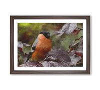 Bullfinch Bird Painting Framed Print | A2 Walnut Framed Wall Art | Ready to Hang | Modern Historical Picture | Living Room Bedroom Lounge Office