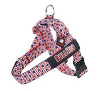 BULLHUG Adjustable Dog Harness- No Pull, No Choke - for English Bulldogs, French Bulldogs, Pugs & Broad-Chested Breeds - Easy, Safe Walks (Star & Strips,Medium)