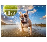 Bullies in action - French Bulldogs love balls UK-Version (Wall Calendar 2026 DIN A4 Landscape), CALVENDO 12 Month Wall Calendar