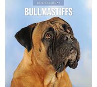 Bullmastiffs - 2026 Square Wall Calendar - by Red Robin Publishing