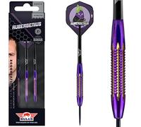 Bulls nl steel darts dirk van duijvenbode aubergenius brass steeltip darts steel dart 21 g