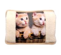 BullTek Electric Hot Water Bag 26 x 19 cm 500W - Rechargeable Wireless Quick Warmer with Plush Pockets for Hands, Pain Relief and Cold, Soft and Safe Cat Design (2 Kittens)