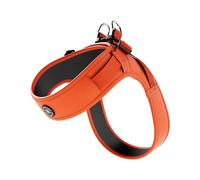 BullyBillows Boomerang Harness | Non-Restrictive Lightweight Dog Harness | Simple To Take Slip On & Off | Premium Quality Dog Harness With Hook and Loop Strap | Orange Medium