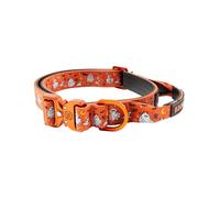 BullyBillows Halloween Dog Collar | 2.5cm Combat® Collar With Handle & Pressure Rated Clip | Suitable For All Dog Breeds | Stainless Steel Dog Collar | Halloween Orange |XXsmall : 12" - 17"