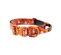 BullyBillows Halloween Dog Collar | 4cm Combat® Collar With Handle & Pressure Rated Clip | Suitable For All Dog Breeds | Stainless Steel Dog Collar | Halloween Orange | X Small : 15"-19"