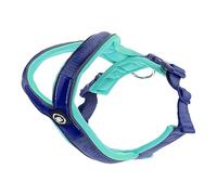 BullyBillows Slip-On Dog Harness - Foam Padded, Neoprene-Lined, Adjustable, Non-Restrictive Y-Shape with Reflective Strips & Stainless Steel D-Loop |Blue-Turquoise | Medium-Large