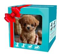 Bulnire Roboterhund, Roboter Hund Wie Echt, lebensechter Roboterwelpe, Realistischer Roboterwelpe mit weichem Fell mit Laufen, Bellen, Schwanzwedeln, Die besten Geschenkideen (D)