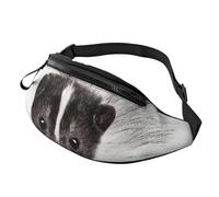 Bum Bag Fashion Waist Pack Bumbag for Women Men Lightweight Fanny Pack Waist Bag for Dog Run Travel, Yellow Pomeranian, One Size