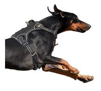 BUMBIN Tactical Dog Harness for Large Dogs No Pull, Famous TIK Tok No Pull Dog Harness, Fit Smart Reflective Pet Walking Harness for Training, Adjustable Dog Vest Harness with Handle Black XL