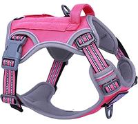 BUMBIN Tactical Dog Harness for Small Dogs No Pull, Famous TIK Tok No Pull Puppy Harness, Fit Smart Reflective Pet Walking Harness for Training, Adjustable Dog Vest Harness with Handle Rose Red XS