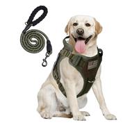 BUMBIN Tactical Dog Harness with Laesh Set，No-Pull Service Fit Smart Dog Vest with Hook & Loop Panels,Adjustable Dog Vest Harness with Handle Green S