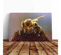 Bumble Bee Collecting Pollen (1) Canvas Print | Gallery Wrapped 30mm Frame Wall Art | 20x14 inches | Ready to Hang | Modern Animals Picture | Living Room Bedroom Lounge Office