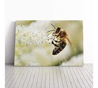 Bumble Bee Collecting Pollen (2) Canvas Print | Gallery Wrapped 30mm Frame Wall Art | 24x16 inches | Ready to Hang | Modern Animals Picture | Living Room Bedroom Lounge Office