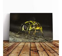 Bumble Bee Vol.5 Canvas Print | Gallery Wrapped 30mm Frame Wall Art | 24x16 inches | Ready to Hang | Modern Animals Picture | Living Room Bedroom Lounge Office