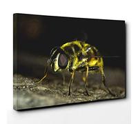 Bumble Bee Vol.5 Canvas Print | Gallery Wrapped 30mm Frame Wall Art | 30x20 inches | Ready to Hang | Modern Animals Picture | Living Room Bedroom Lounge Office
