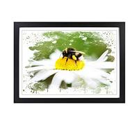 Bumble Bee White Daisy V3 Framed Print | A2 Black Framed Wall Art | Ready to Hang | Modern Floral Picture | Living Room Bedroom Lounge Office