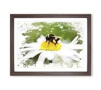 Bumble Bee White Daisy V3 Modern Framed Print | A4 Walnut Framed Wall Art | Ready to Hang | Modern Floral Picture | Living Room Bedroom Lounge Office