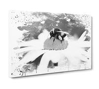 Bumble Bee White Daisy V4 Modern Canvas Wall Art Print Ready to Hang, Framed Picture for Living Room Bedroom Home Office Décor, 20x14 Inch (50x35 cm)