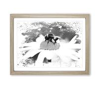 Bumble Bee White Daisy V4 Modern Framed Wall Art Print, Ready to Hang Picture for Living Room Bedroom Home Office Décor, Oak A2 (64 x 46 cm)