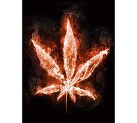 Bumblebeaver PAINTING MARIJUANA LEAF FLAMES FIRE WEED COOL BRIGHT 30x40 cms POSTER PRINT BMP10864