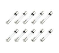Bumdenuu 10 Pcs Fast Blow Type Glass Tube Fuses 6x30mm 250V 10A
