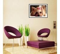 Bumdenuu 3G / 4G MC7700 WWAN Card Unlocked for AirPrime, GPS Module 100Gb / 4G / 3G LTE/FDD/WCDMA/Edge 100Mbps for /Linux