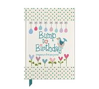 Bump to Birthday, Pregnancy & First Year Baby Journal : an award-winning journal / diary to help you hold onto memories of the growing bump, the birth ... first year with your baby