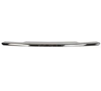 Bumper BAR Moulding Front for: Jeep Compass II