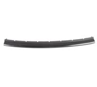 Bumper BAR Moulding Front for : Renault Clio III Ph II 06.09-11.12