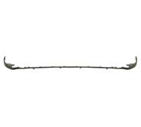 Bumper BAR Moulding Front for : Toyota RAV4 IV 02.16-10.18