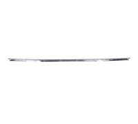 Bumper BAR Moulding Rear for: BMW 5 E39 Sedan 11.95-09.00