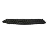 Bumper trim strip Left Front black 5703-05-3556971P BLIC