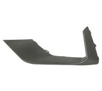 Bumper BAR Trim Strip Front Left for: Ford Focus IV 04.18-09.21