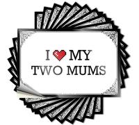 Bumper Bathroom Stuff Waterproof Vinyl Sticker | I Love My Two Mums Western Case for Gamer DIY Projects(6X9CM)