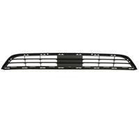 Bumper Grate Front for: BMW X3 F25
