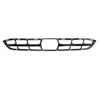Bumper Grate Front for: BMW X3 G01 10.17-07.21
