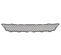 Bumper Grate Front for : Chrysler 300 C II