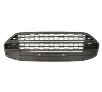 Bumper Grate Front for: Ford Ecosport 10.13-10.17