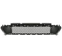 Bumper Grate Front for: Jeep Cherokee Kl