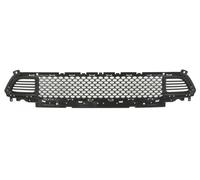Bumper Grate Front for: Jeep Cherokee Little