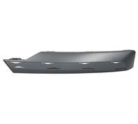 Bumper Grate Front on the Left for: BMW X3 G01