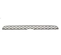 Bumper grille BLIC 6502-07-0096994P for BMW X5 (E70) 3 2006-2008