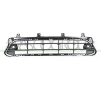 Bumper grille in the middle, black