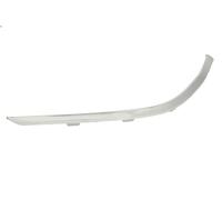 BLIC 6502-07-8156922P Bumper moulding