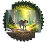 Bumper Sticker A Striped Cat Walks Along A Forest Path. Stickers 10Pcs Car Accessories Funny Bumper Stickers(6X9CM)