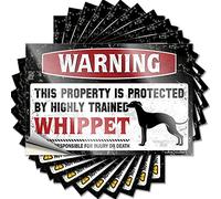 Bumper Sticker Warning This Property is Protected By A Highly Trained Whippet Funny Sticker 10 Pcs Stickers Funny Adult Car Stickers(12X18CM)