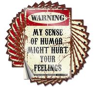 Bumper Stickers Warning My Sense of Humor Might Hurt Your Feelings! Funny Sticker 10 Pcs Funny Bumper Stickers Inappropriate Stickers(6X9CM)